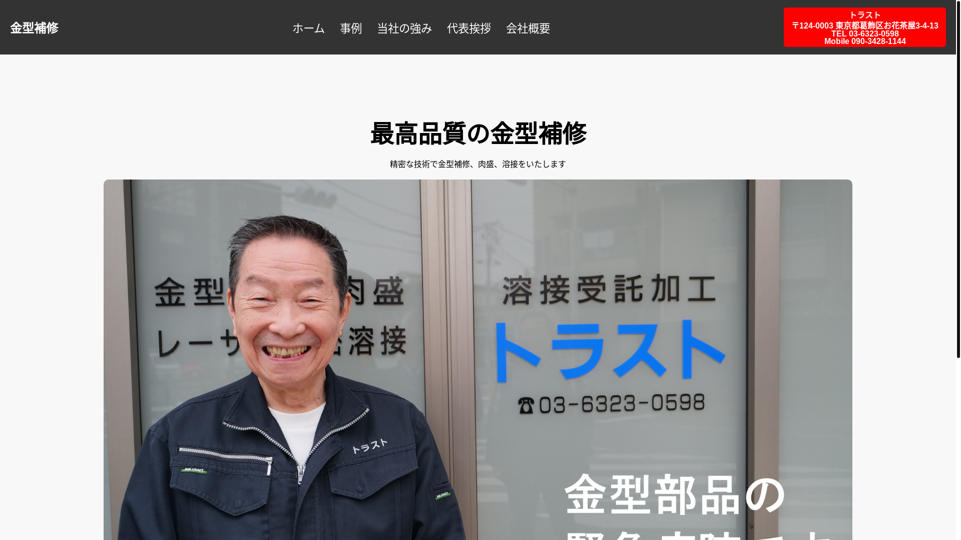 website screenshot of https://trust-laser.jp/