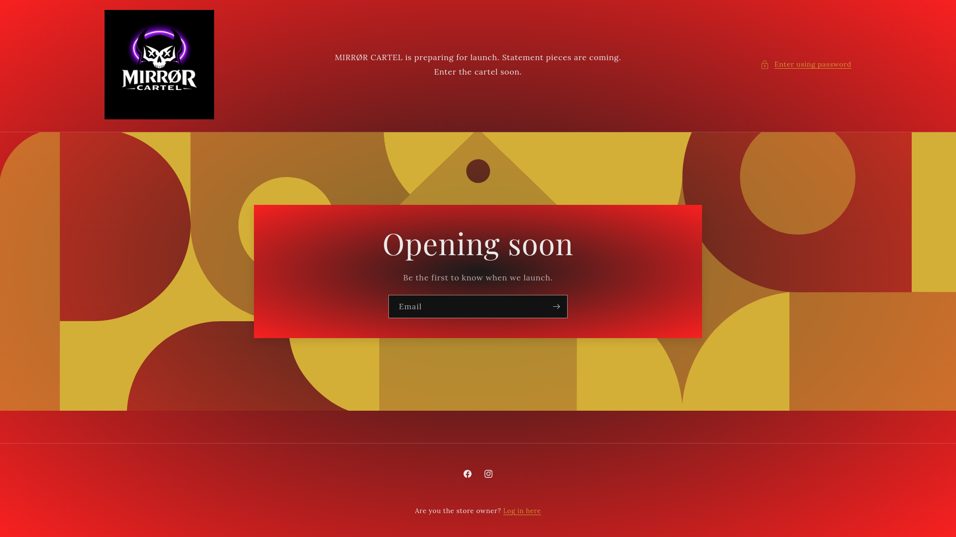 website screenshot of https://mirrorcartel.com/