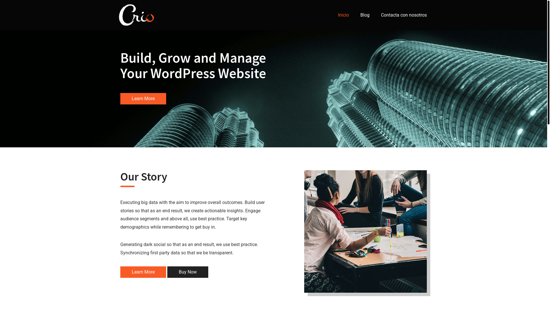 website screenshot of https://vozactivaestudiantil.com/