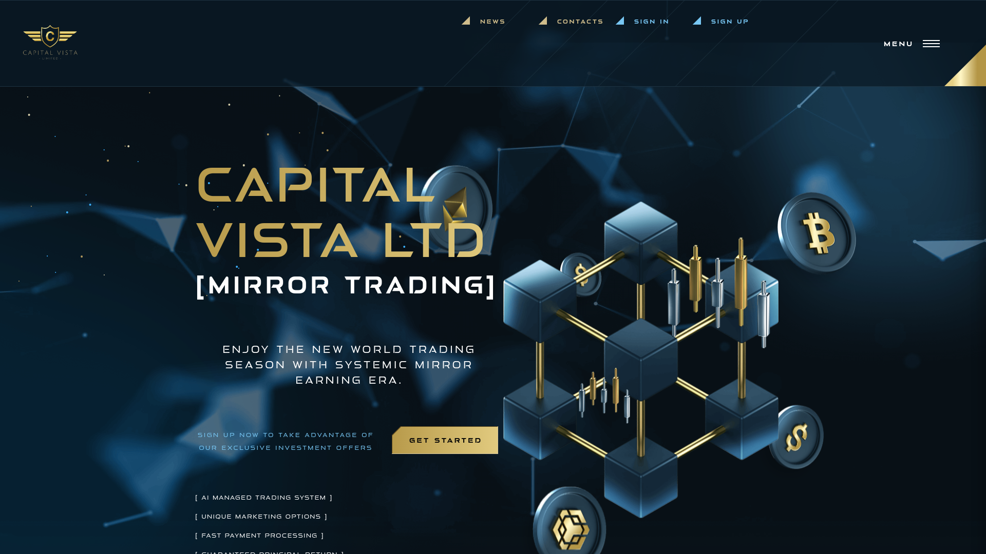 website screenshot of https://capitalvista.ltd