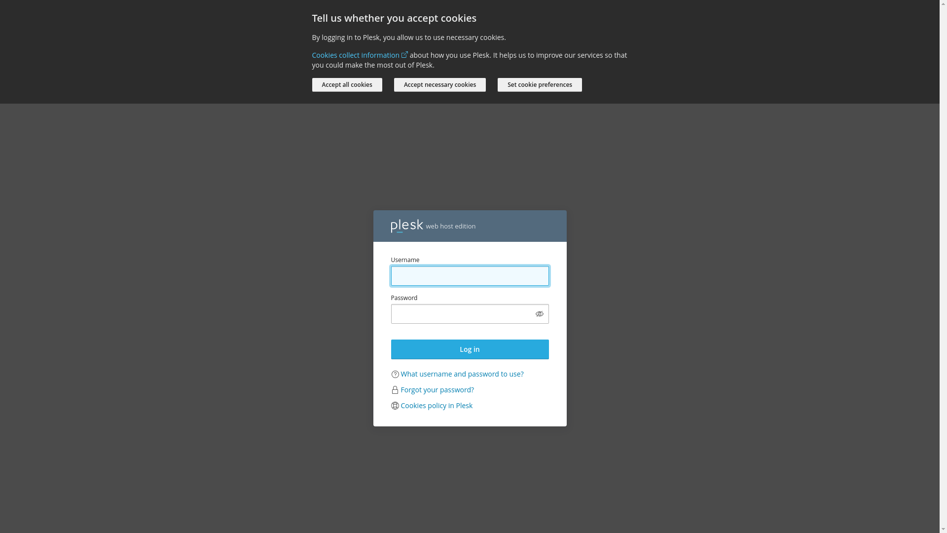 website screenshot of https://bsd-tok.click/
