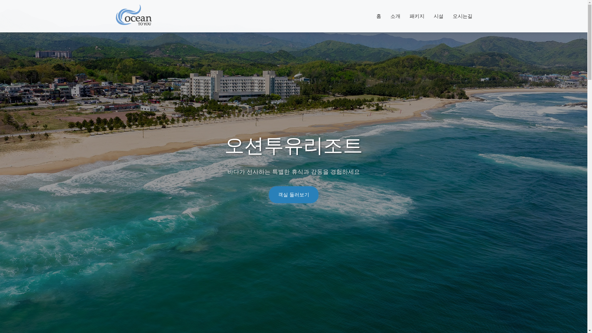 website screenshot of https://dalrimticket.store/