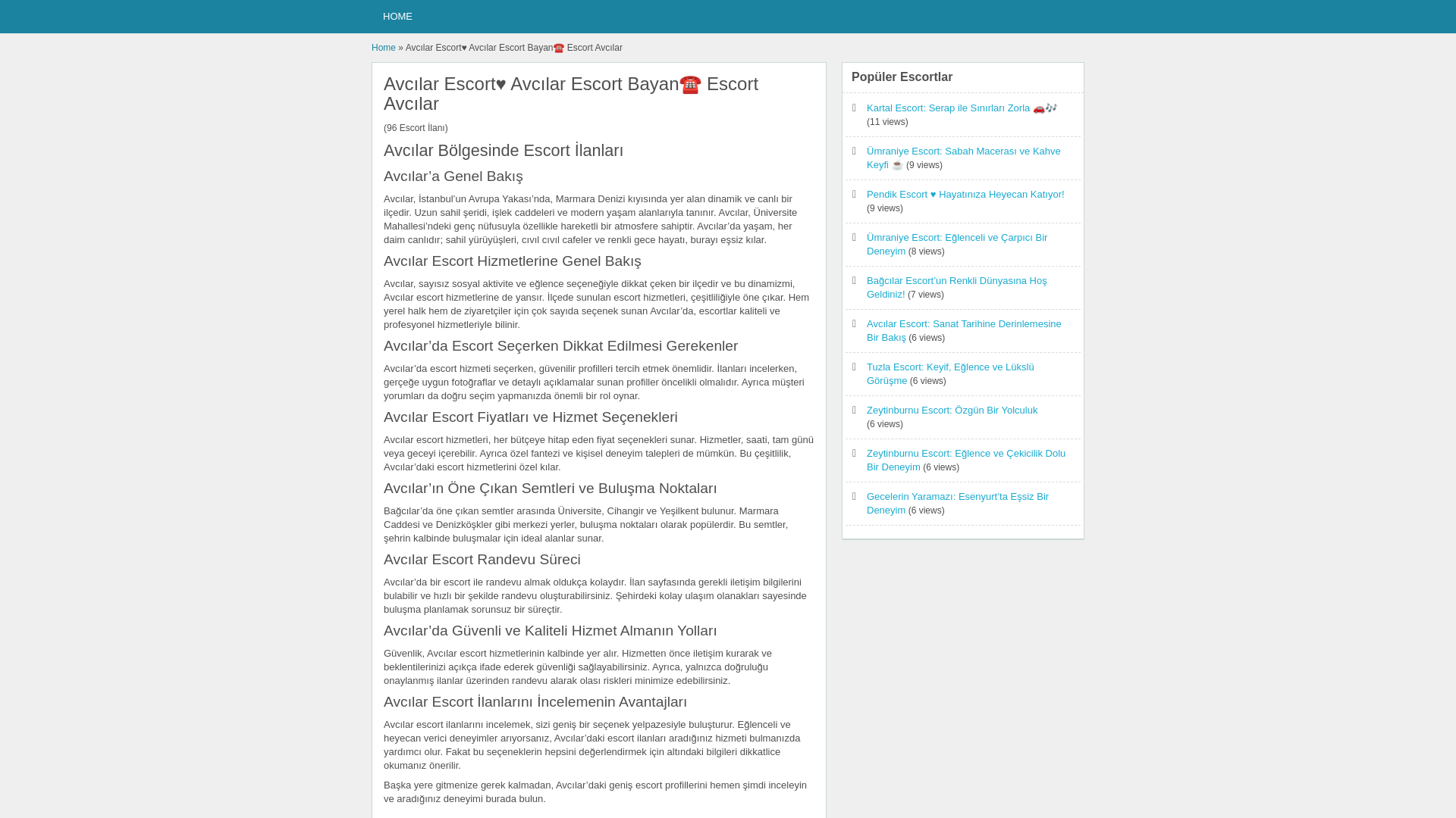 website screenshot of https://avcilarescort1.website/