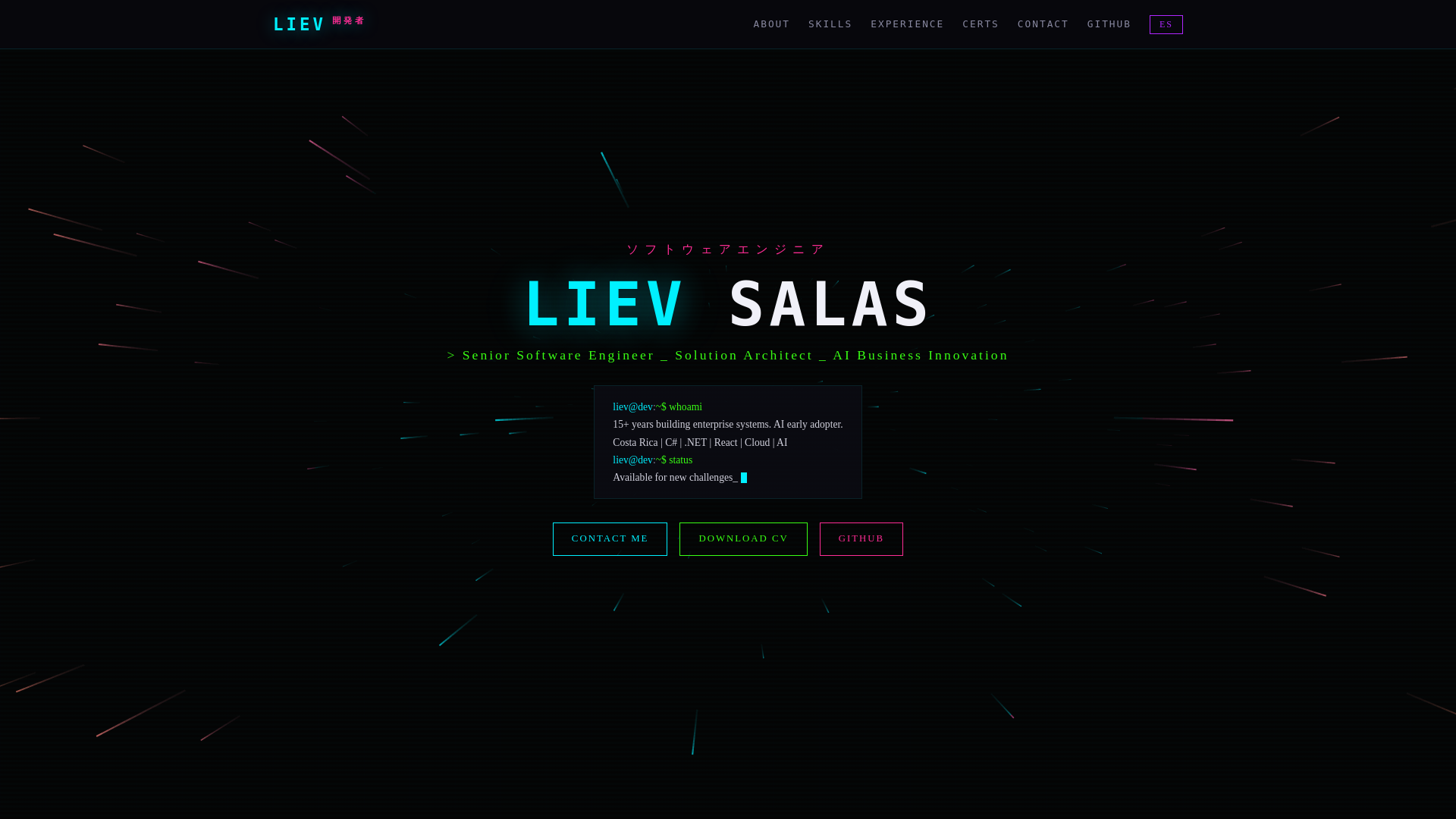 website screenshot of https://lievsalas.dev/