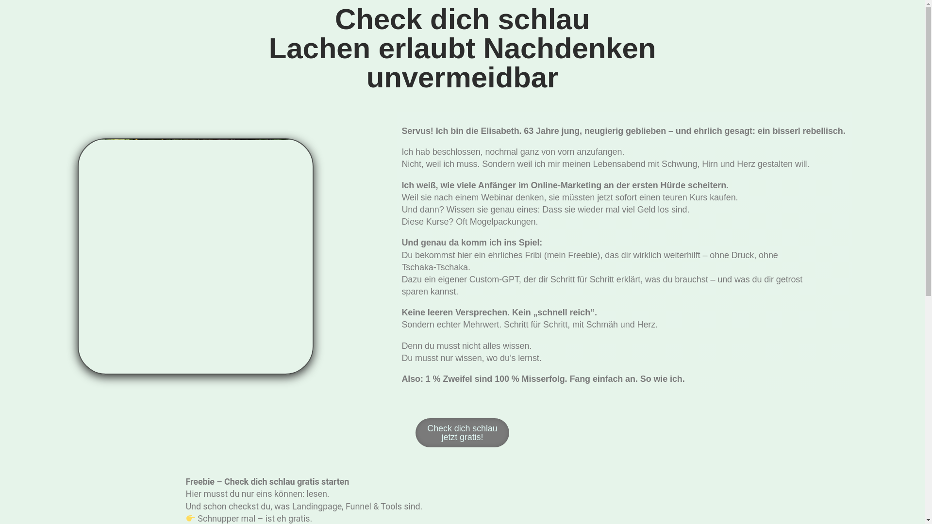 website screenshot of https://checkdichschlau.de/