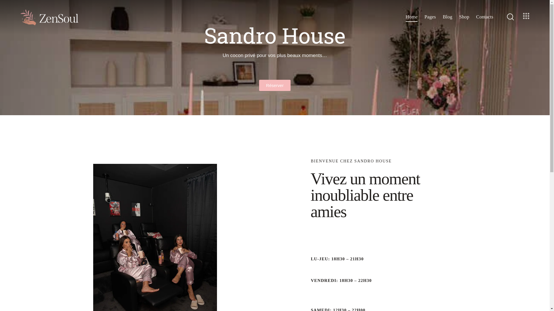 website screenshot of https://sandro-house.be/