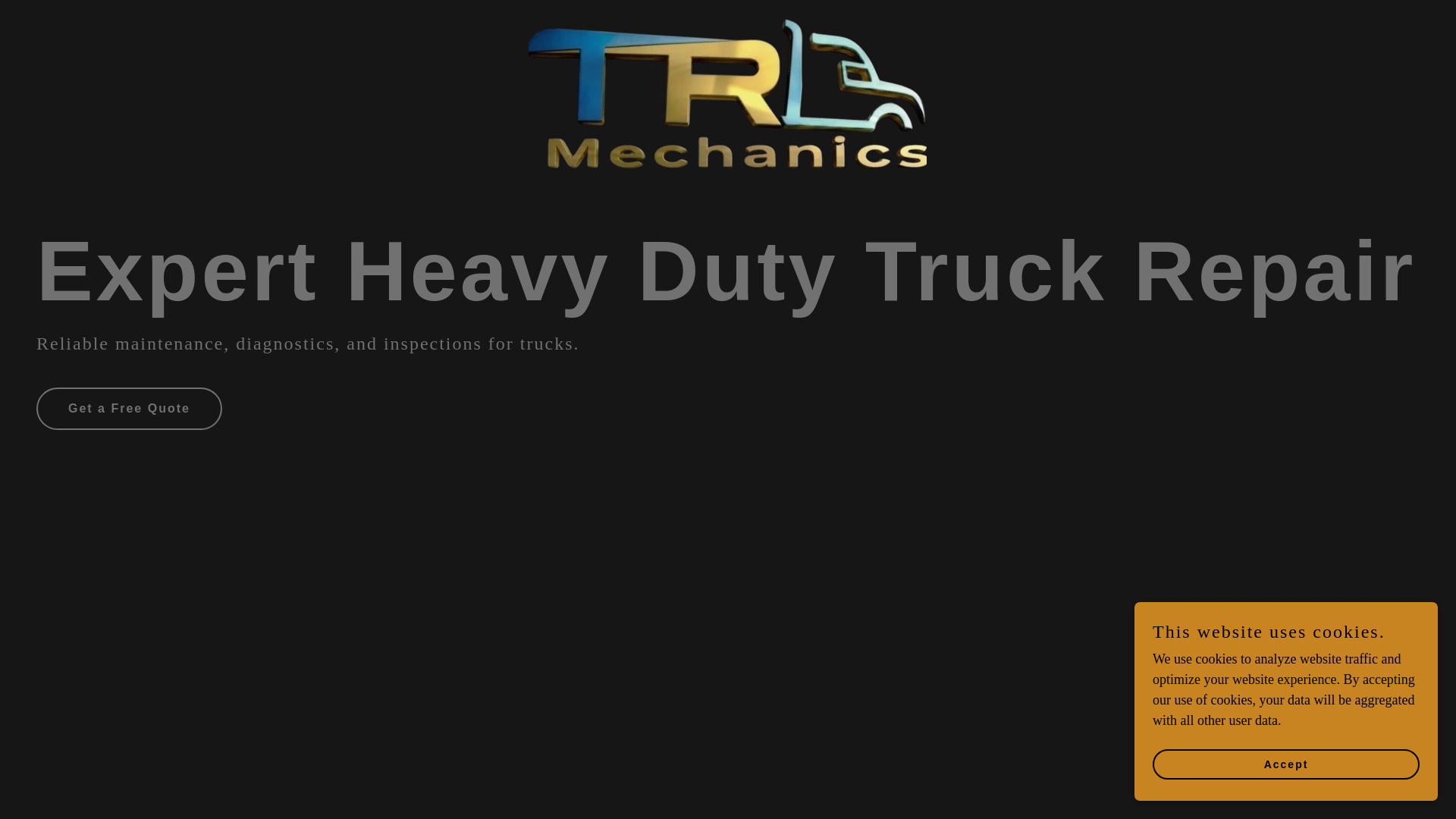 website screenshot of https://trmechanics.com/