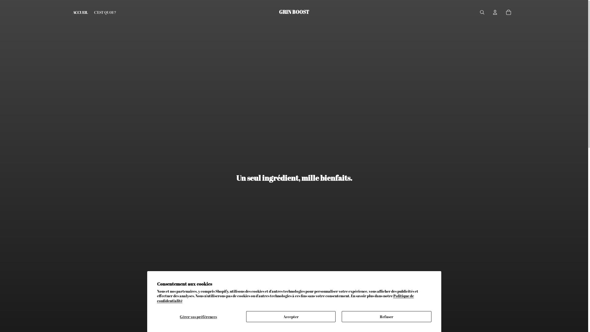 website screenshot of https://grinboost.fr/