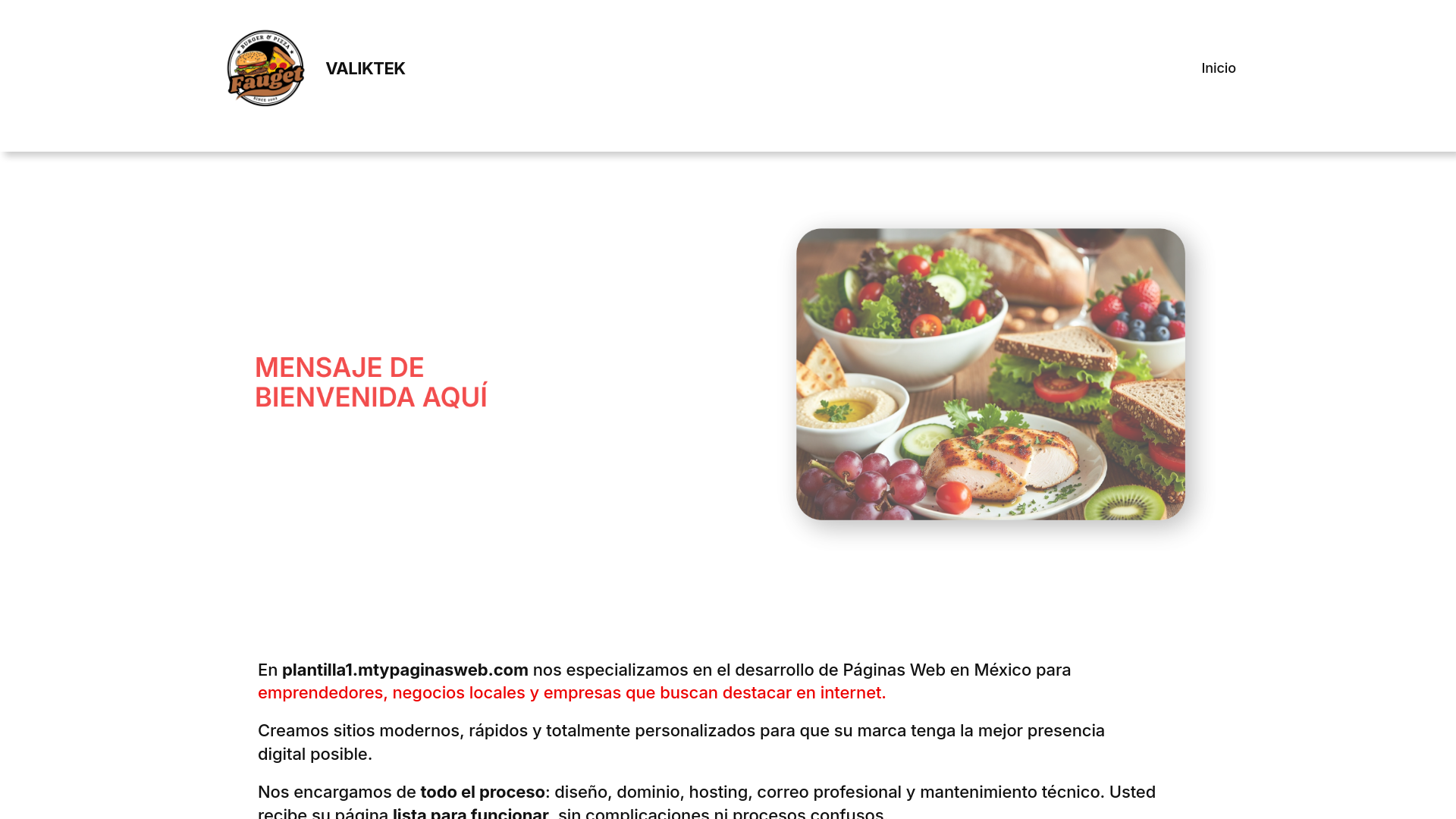 website screenshot of https://valiktek.com/