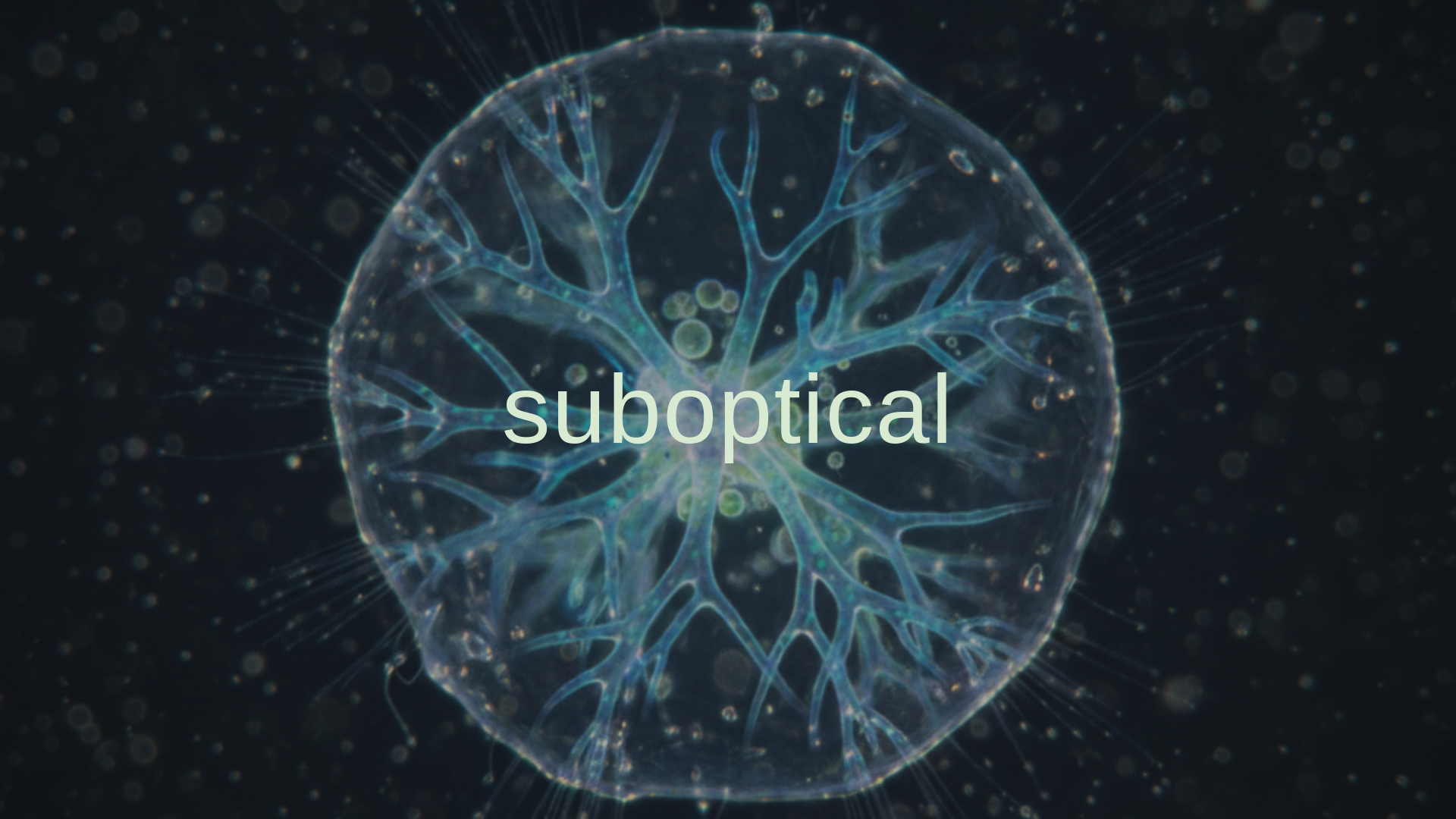 website screenshot of https://suboptical.org/