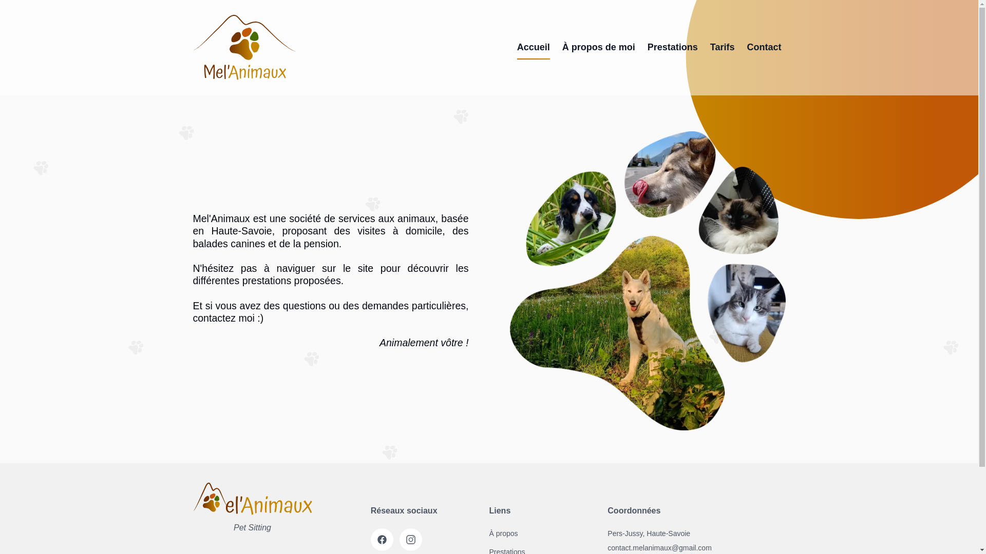 website screenshot of https://melanimaux-website.pages.dev/