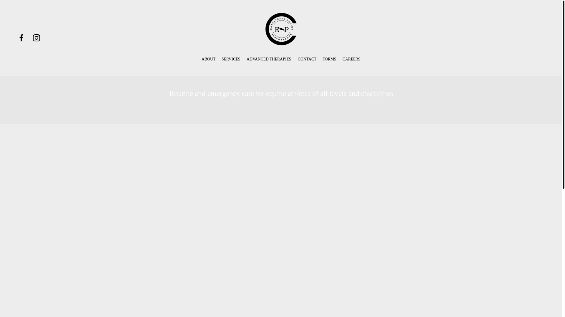 website screenshot of https://chesapeakeequinevets.com/