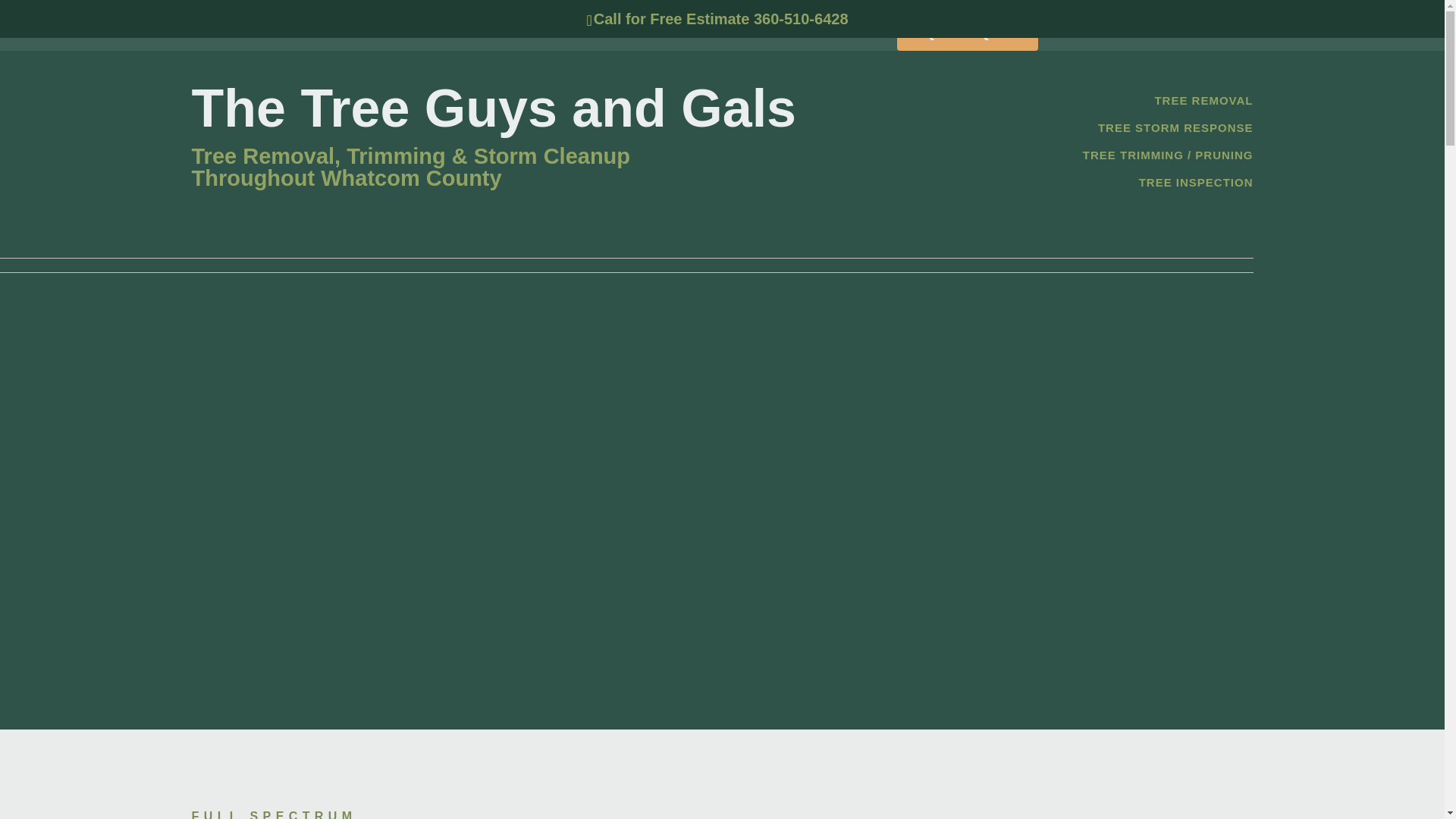 website screenshot of https://treeguysandgals.com/