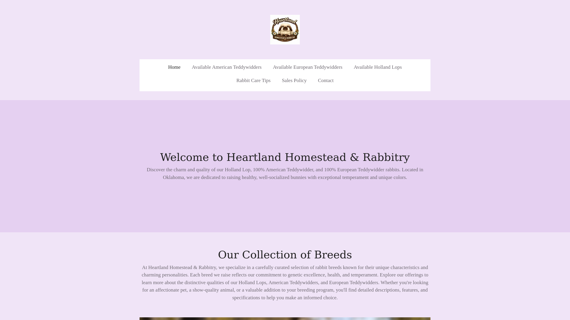website screenshot of https://heartlandhomesteadrabbitry.com