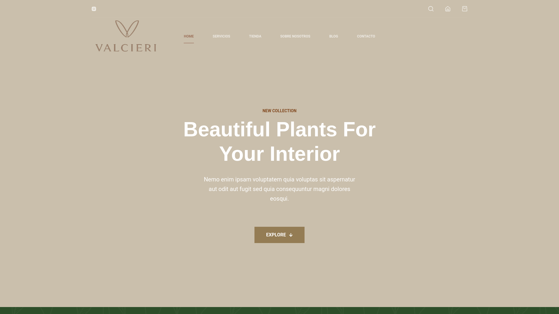 website screenshot of https://valcieribrand.com/