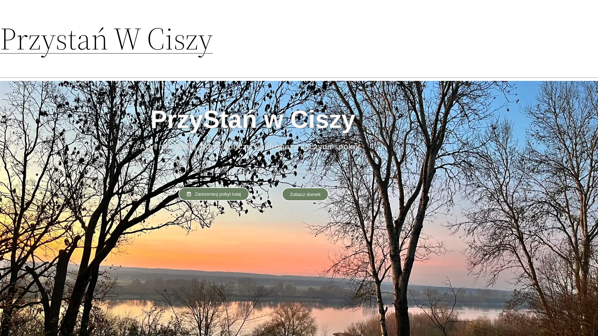 website screenshot of https://xn--przystawciszy-vic.pl/