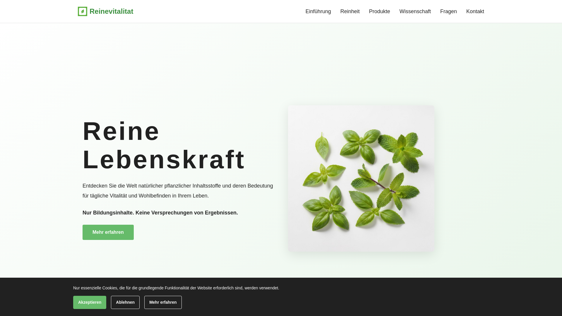 website screenshot of https://reinevitalitat.info/