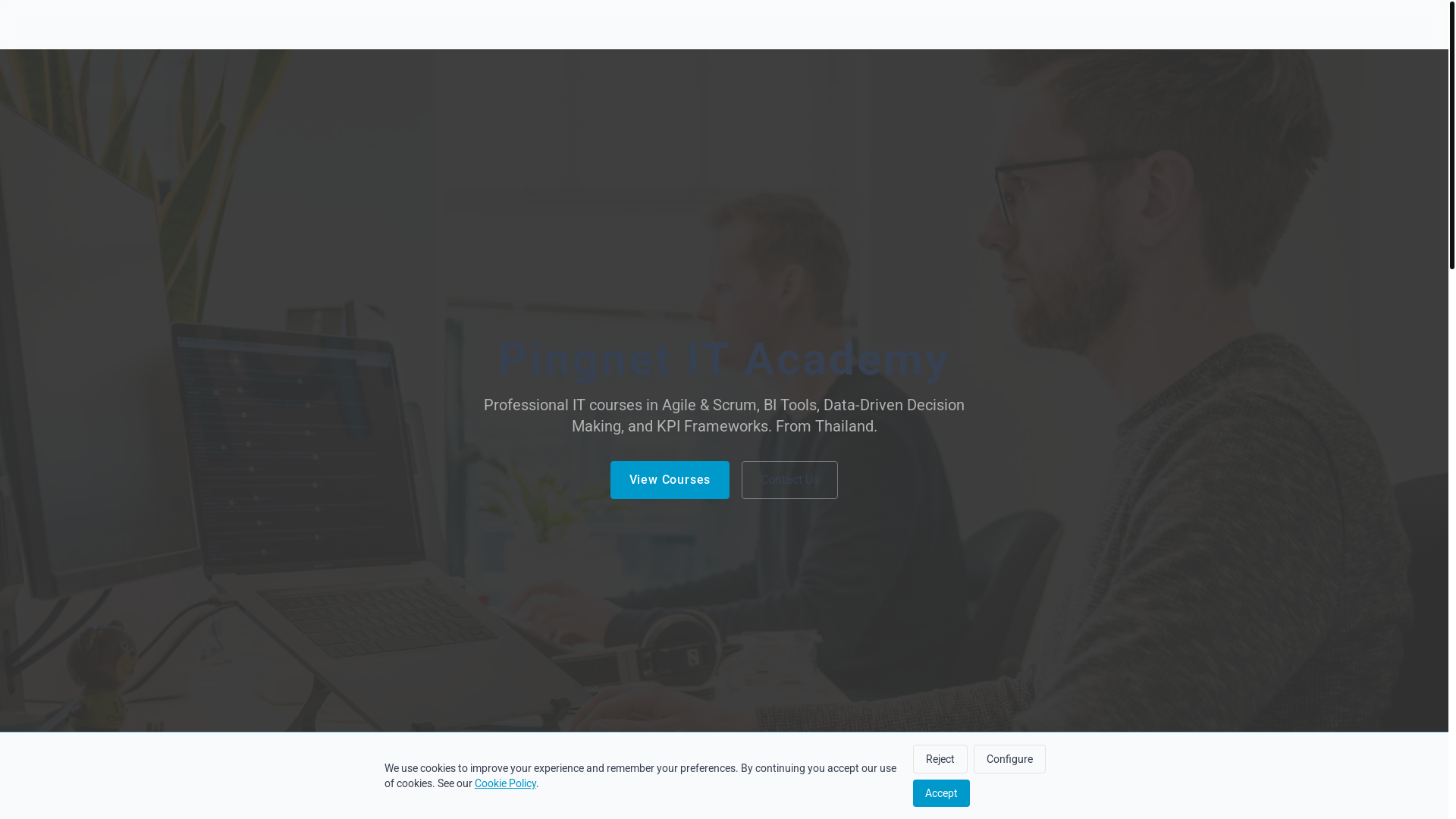 website screenshot of https://pingnet.digital/