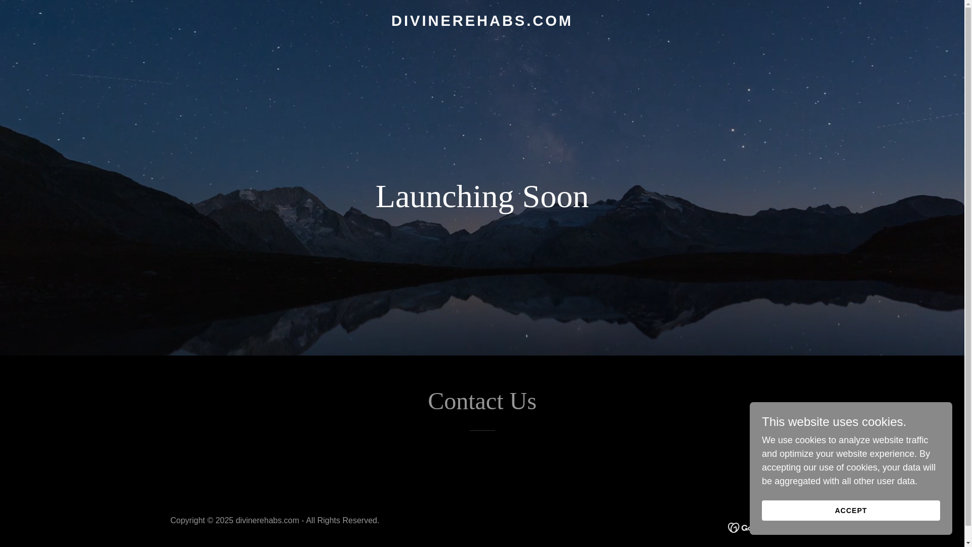 website screenshot of https://divinerehabs.com/