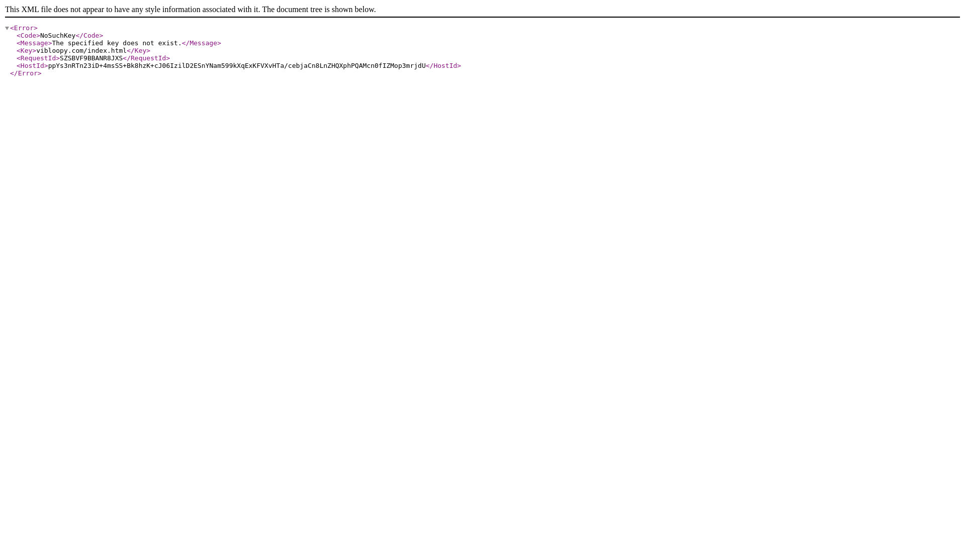 website screenshot of https://vibloopy.com/