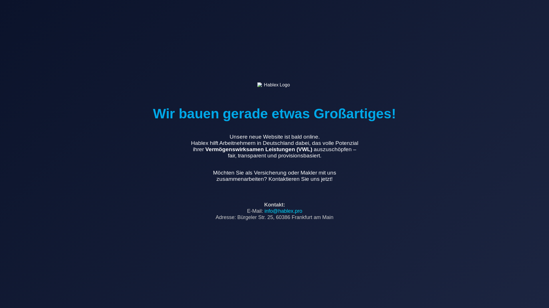 website screenshot of https://hablex.pro/