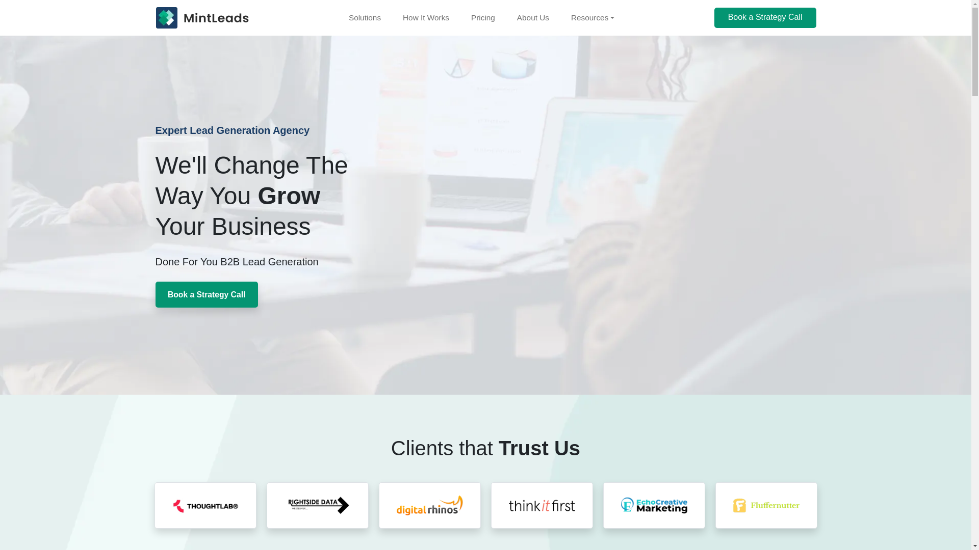 website screenshot of https://talkthemintleadsgrp.com/