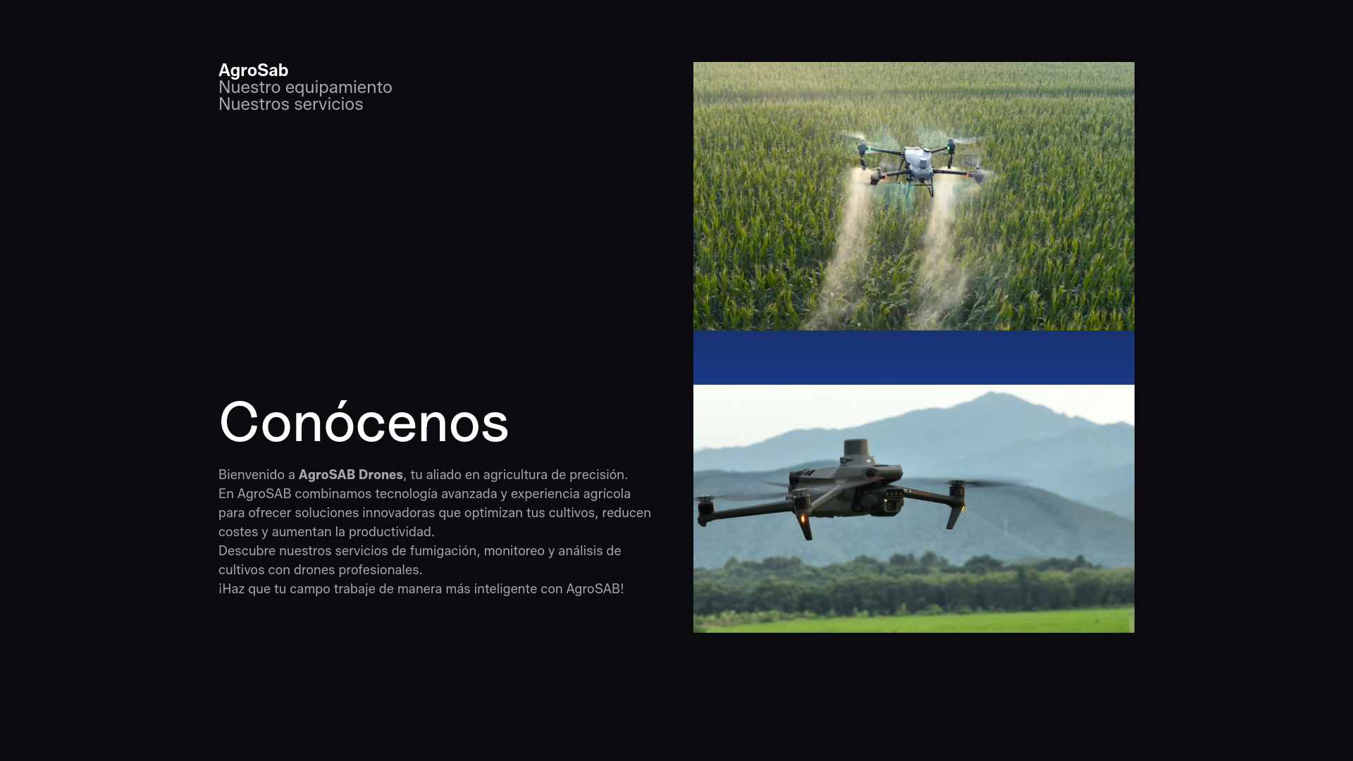 website screenshot of https://agrosab.com/