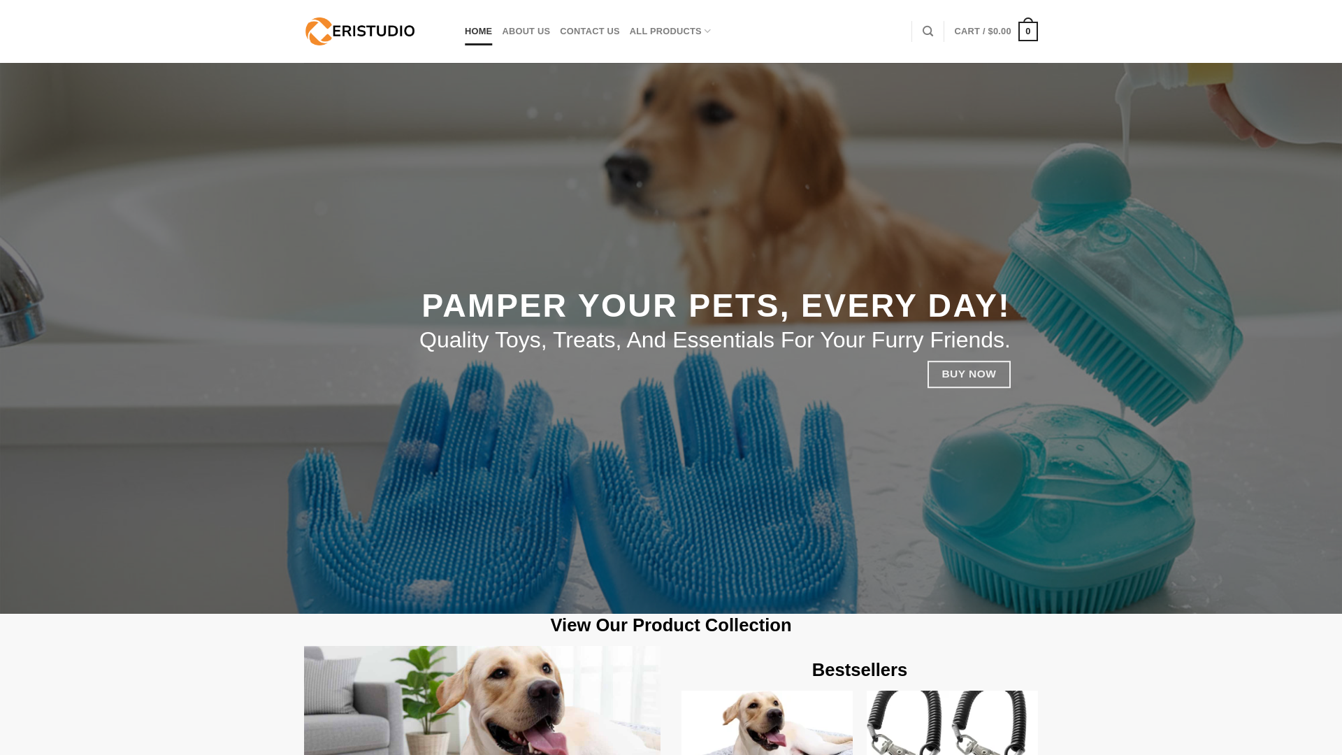 website screenshot of https://ceristudio.com