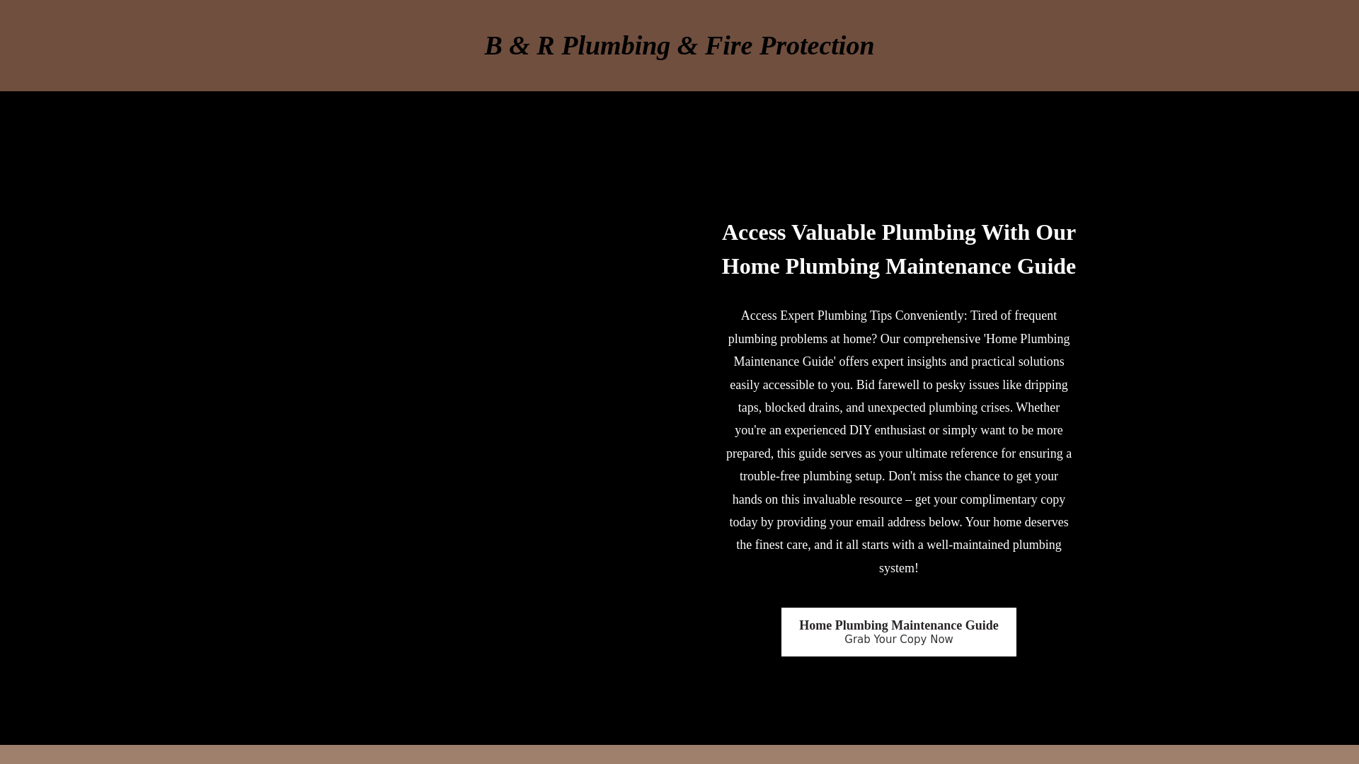 website screenshot of https://brplumbingfireprotection.com/