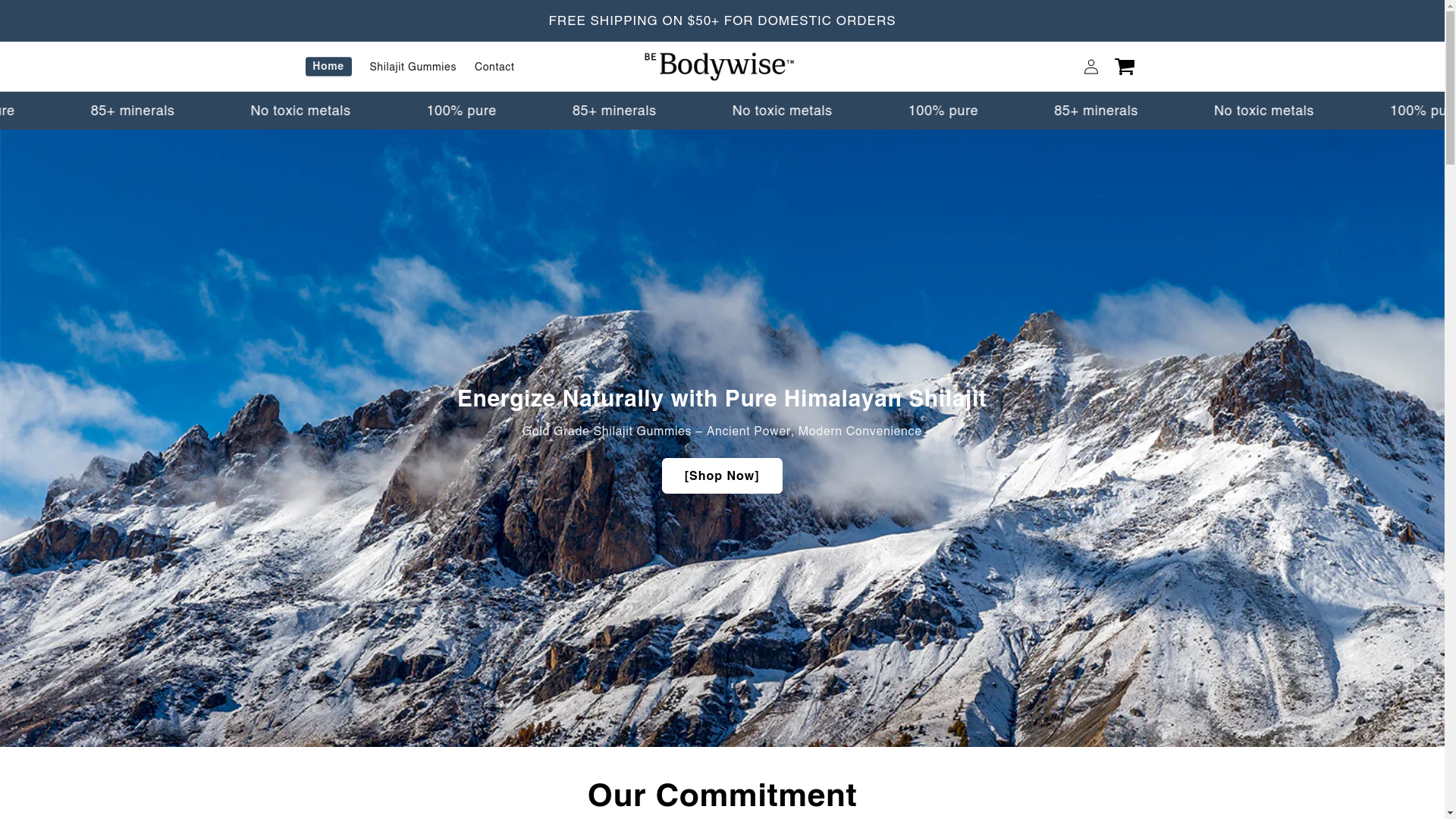 website screenshot of https://bebodywises.shop/