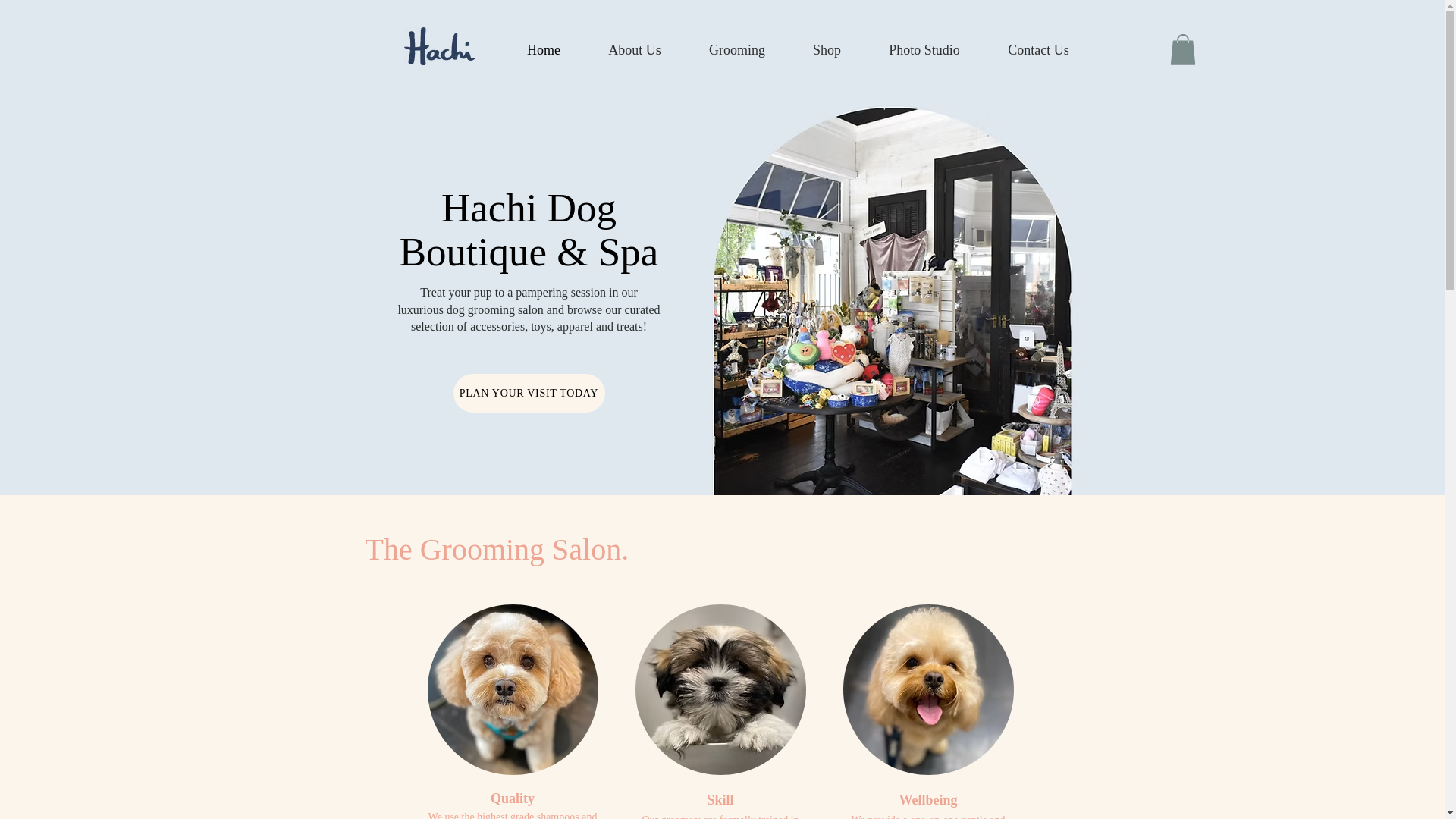 website screenshot of https://hachi-melbourne.online/