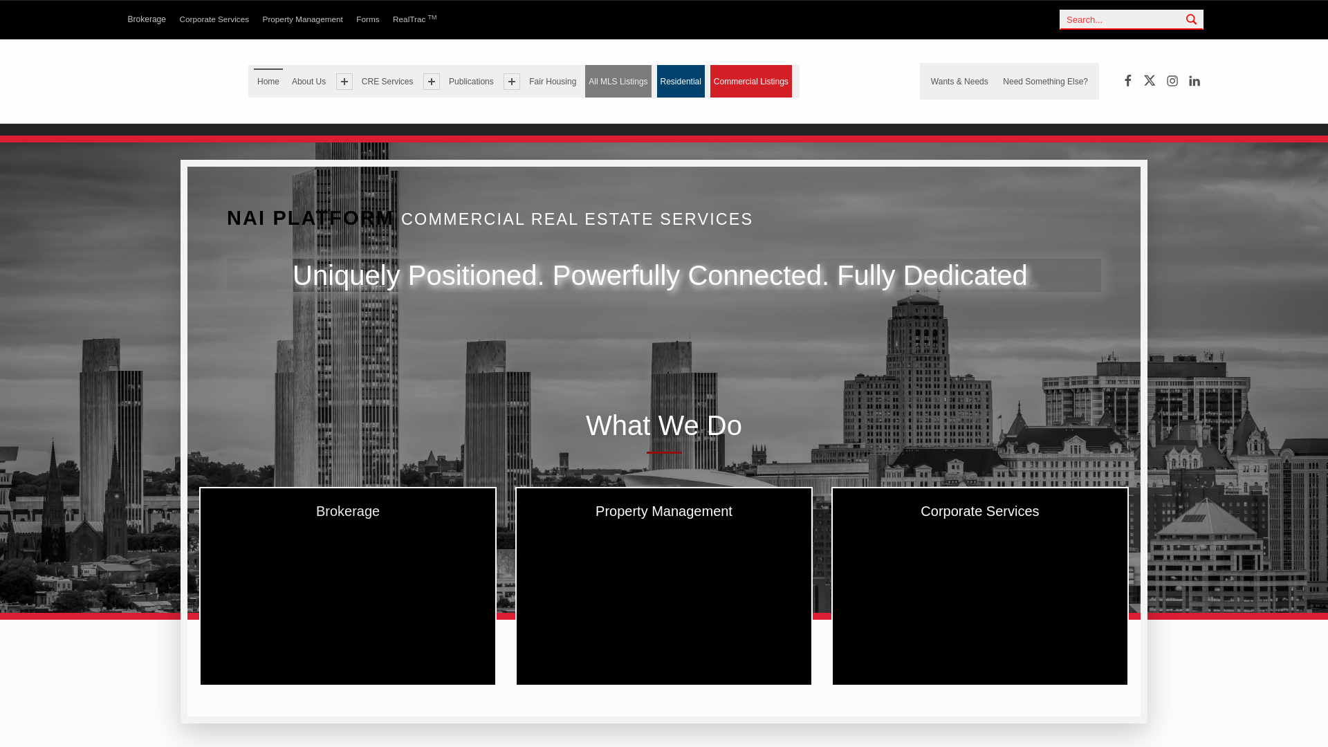 website screenshot of https://naiplatformmail.com/