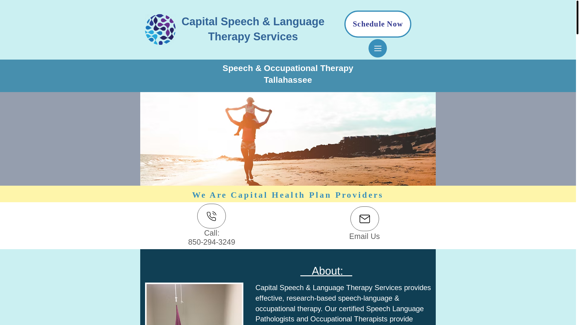 website screenshot of https://capitalspeechandot.com/