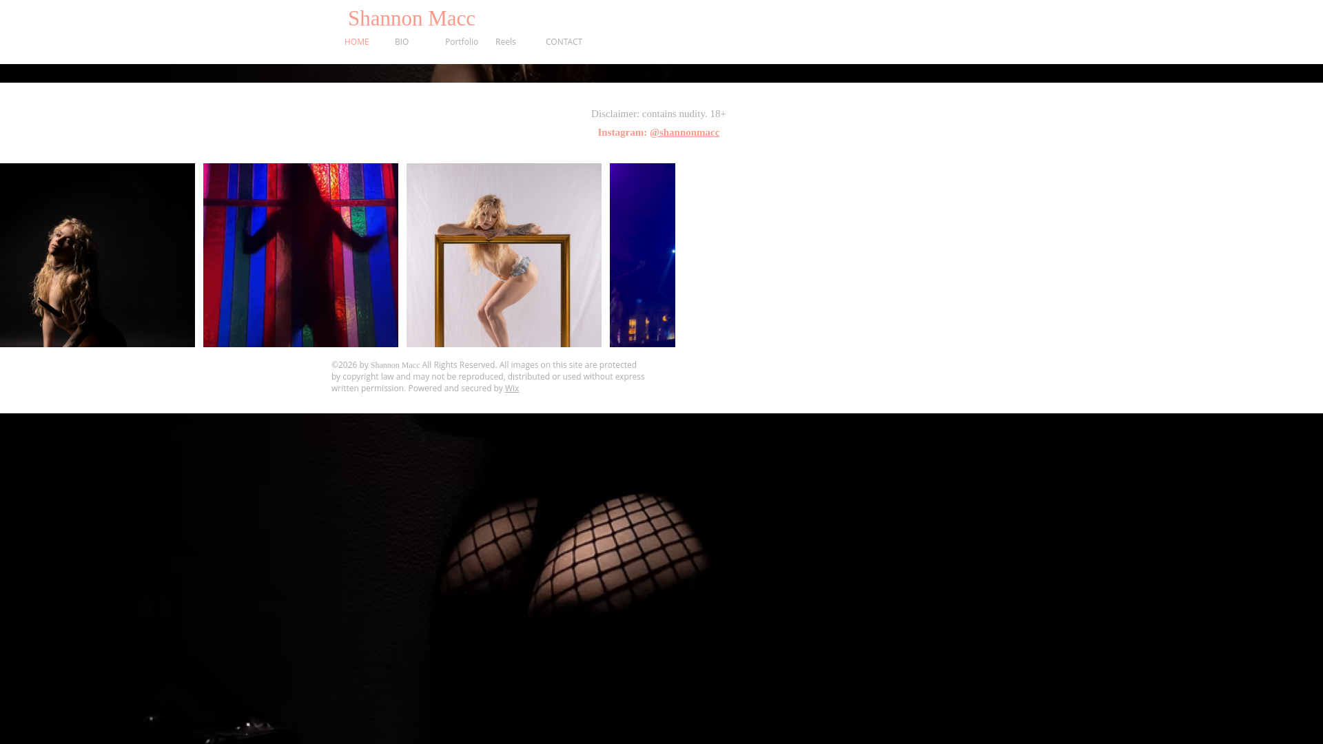 website screenshot of https://shannonmacc.com/