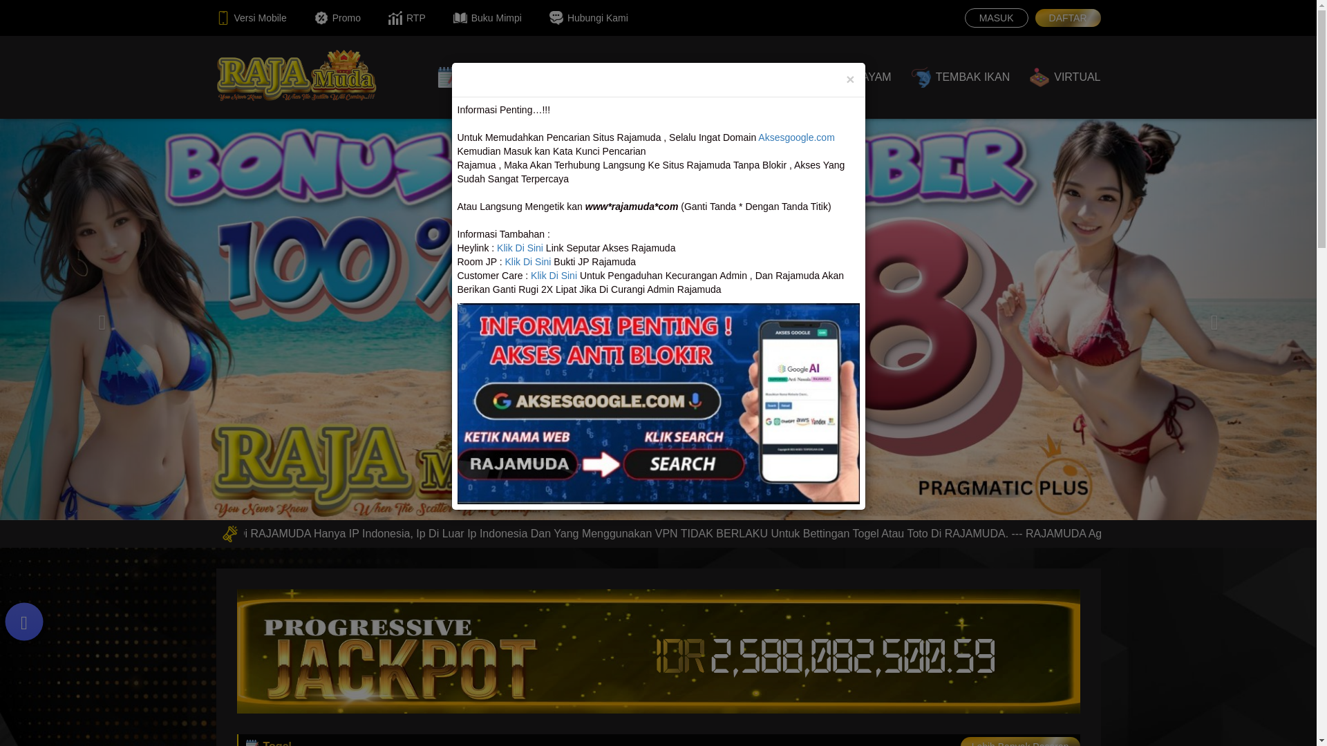 website screenshot of https://rajamuda3.world/