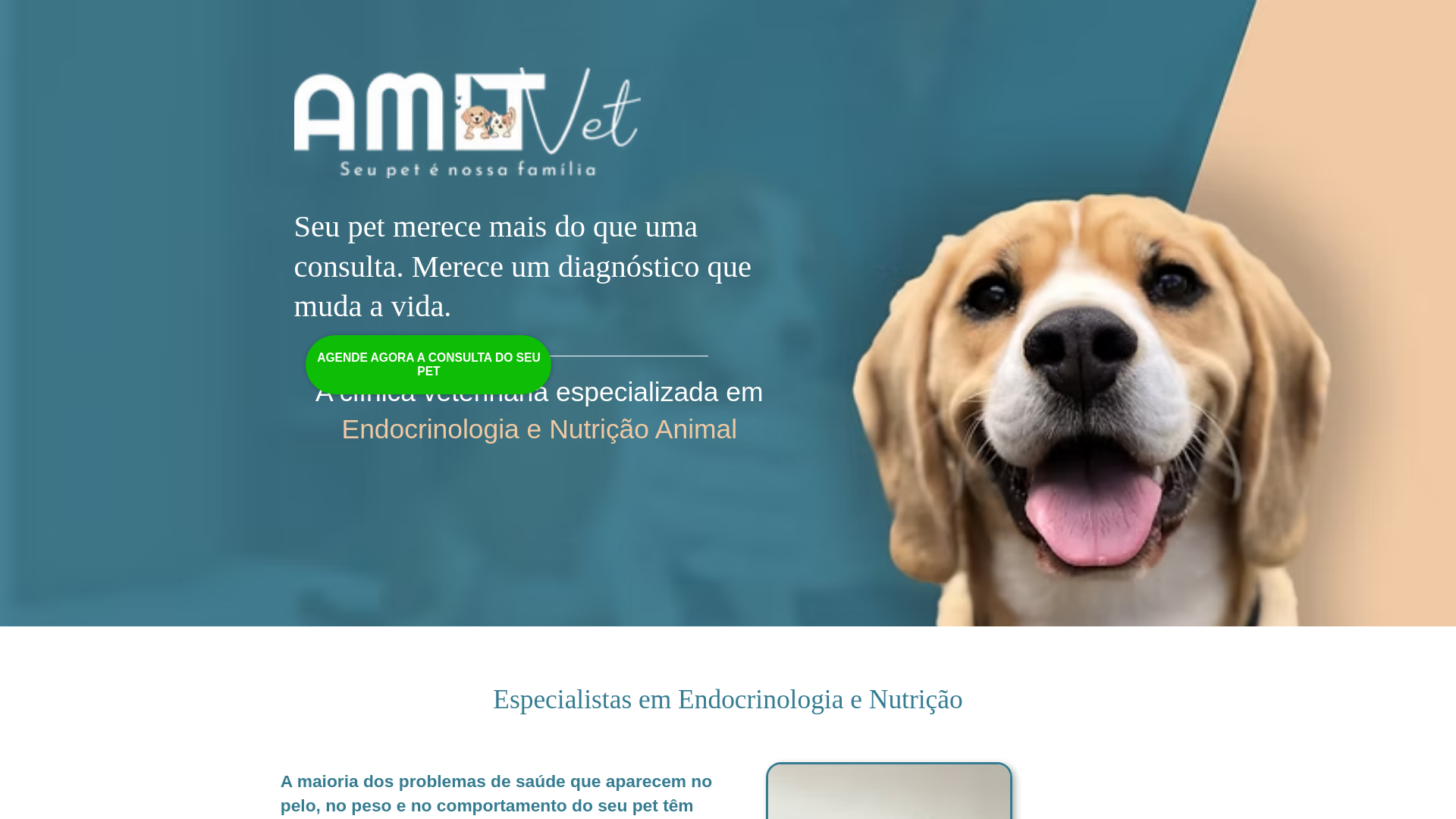 website screenshot of https://clinicaamovet.com/