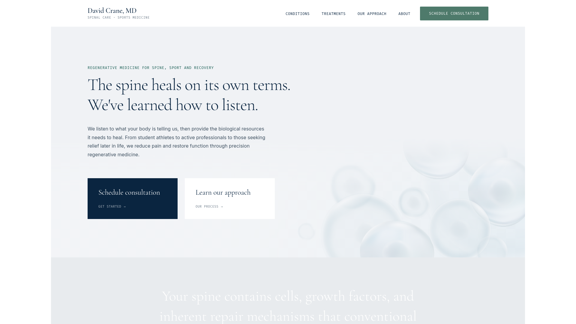 website screenshot of https://crane-spine.pages.dev/