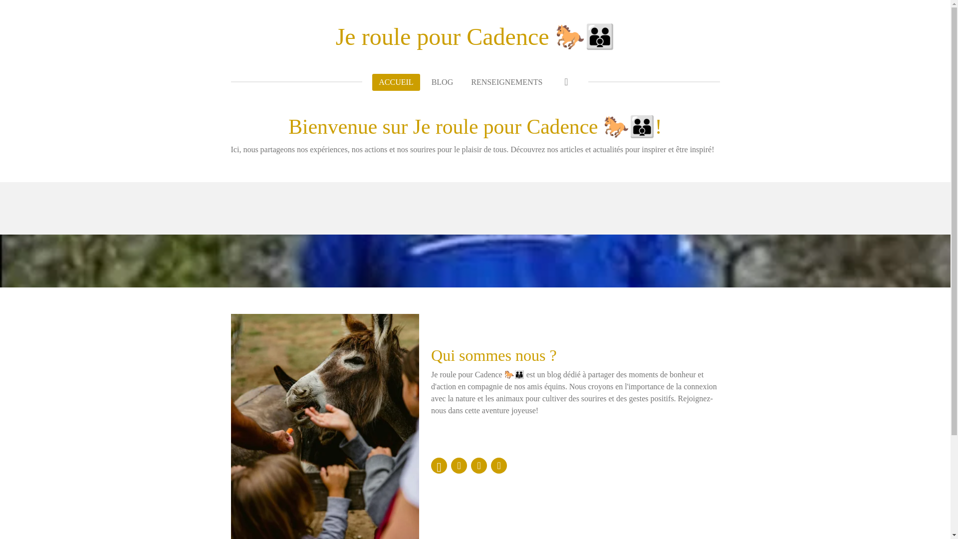 website screenshot of https://je-roule-pour-cadence.com/
