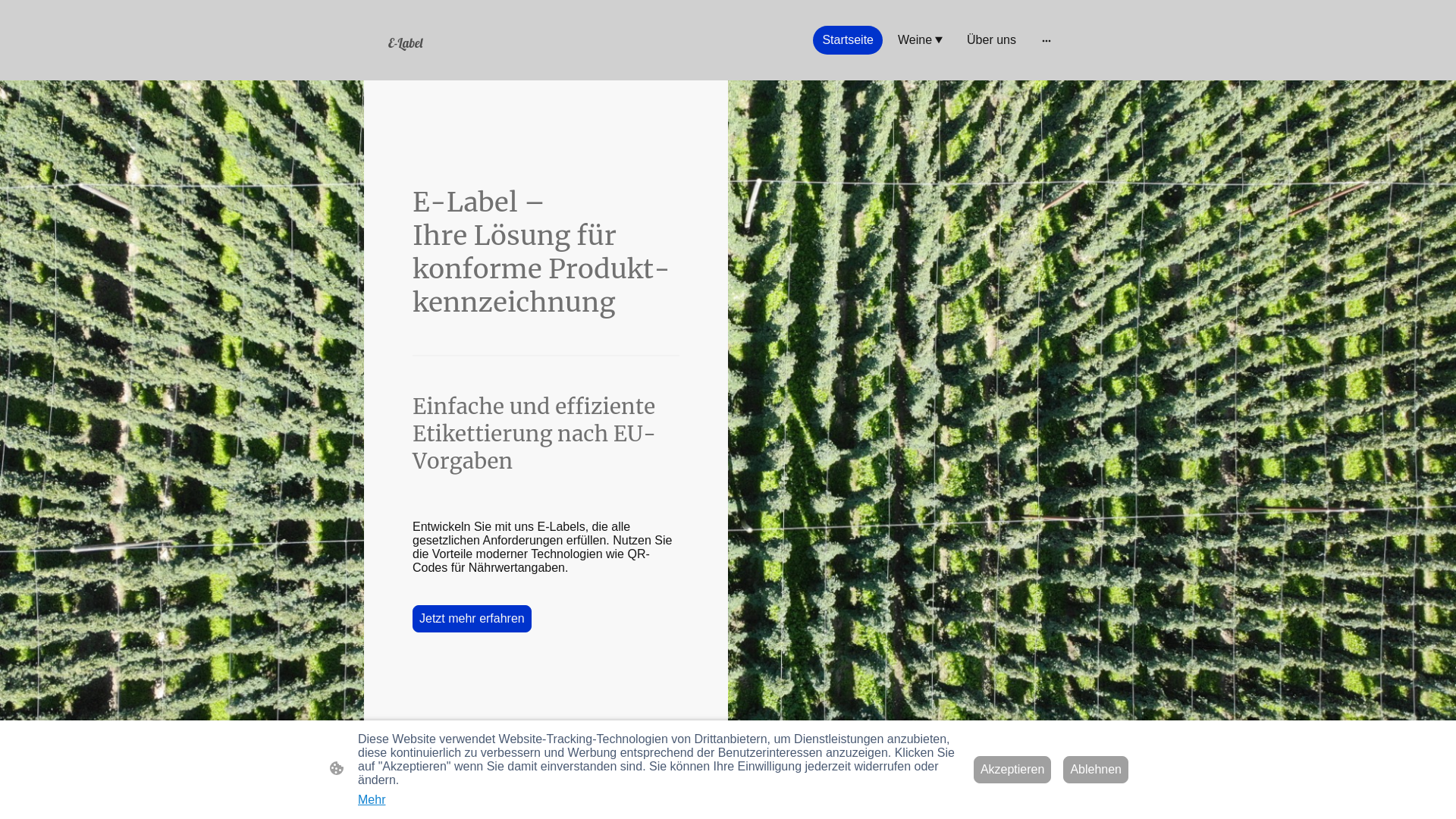 website screenshot of https://secolino.net/