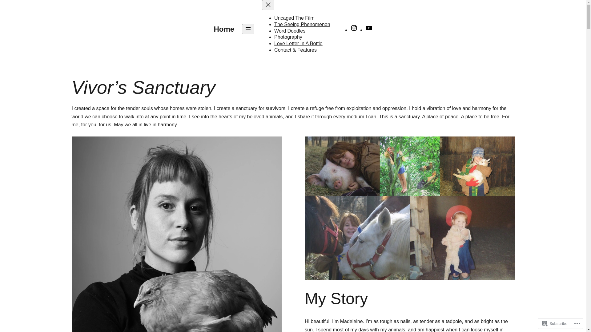 website screenshot of https://vivorssanctuary.com/