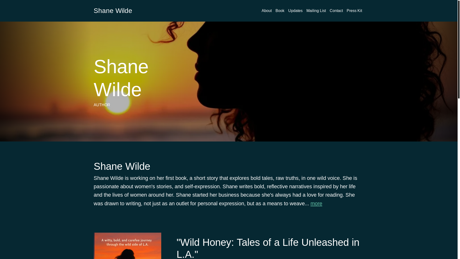 website screenshot of https://shanewilde.com/