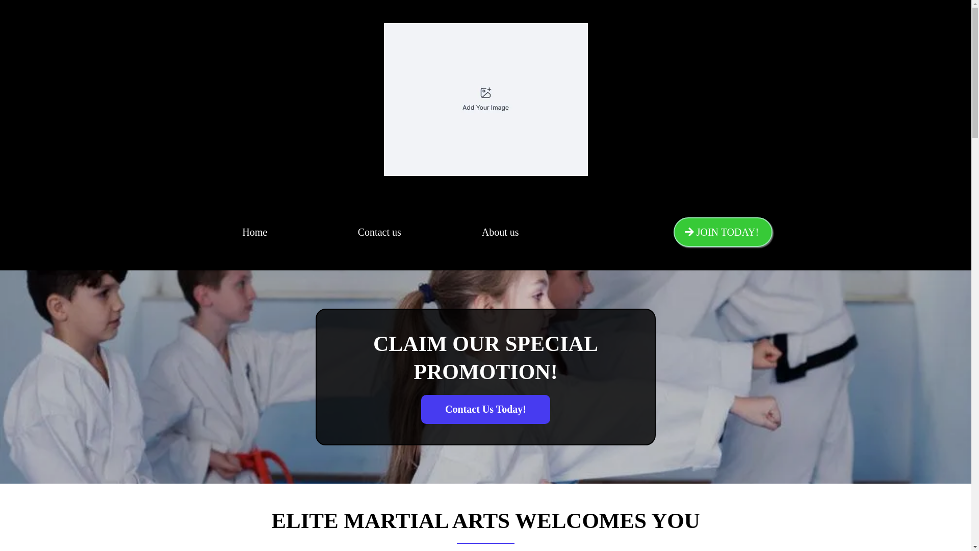 website screenshot of https://elitemartialartskirklandtkd.com/