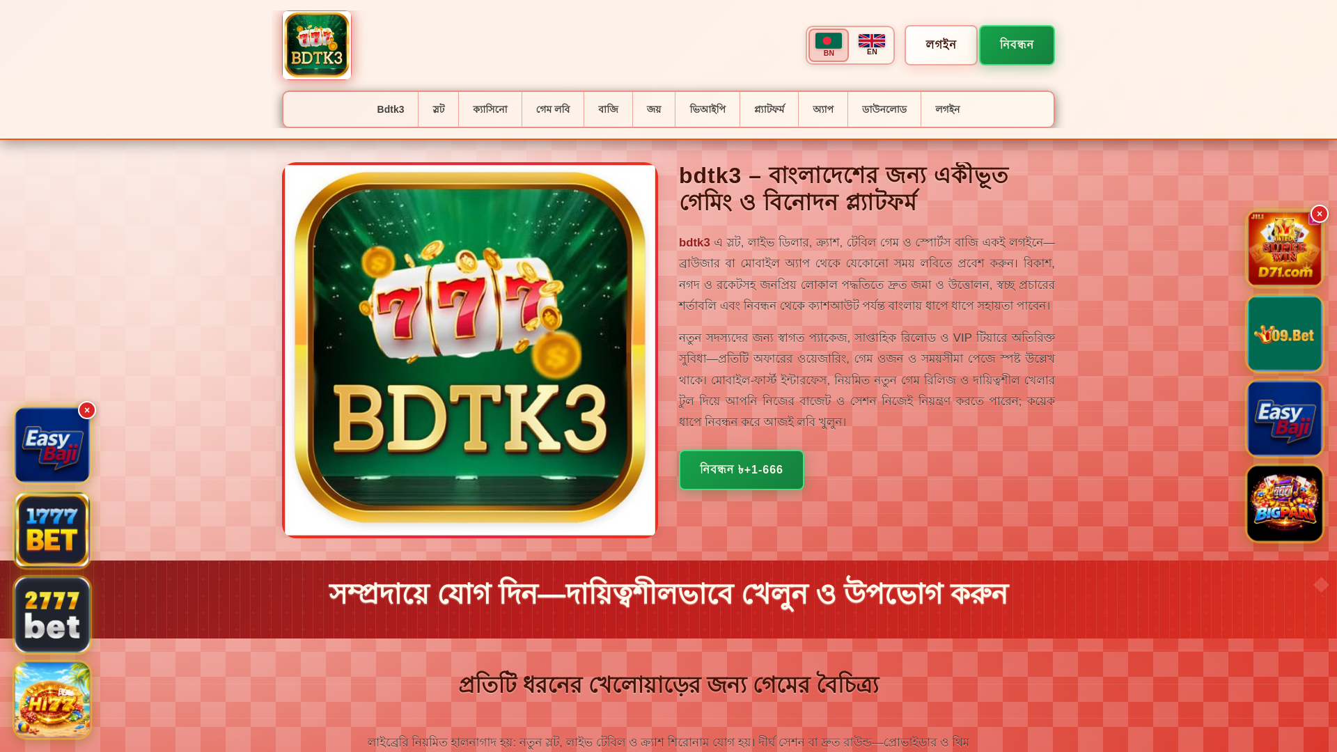 website screenshot of https://bdtk3tin.com