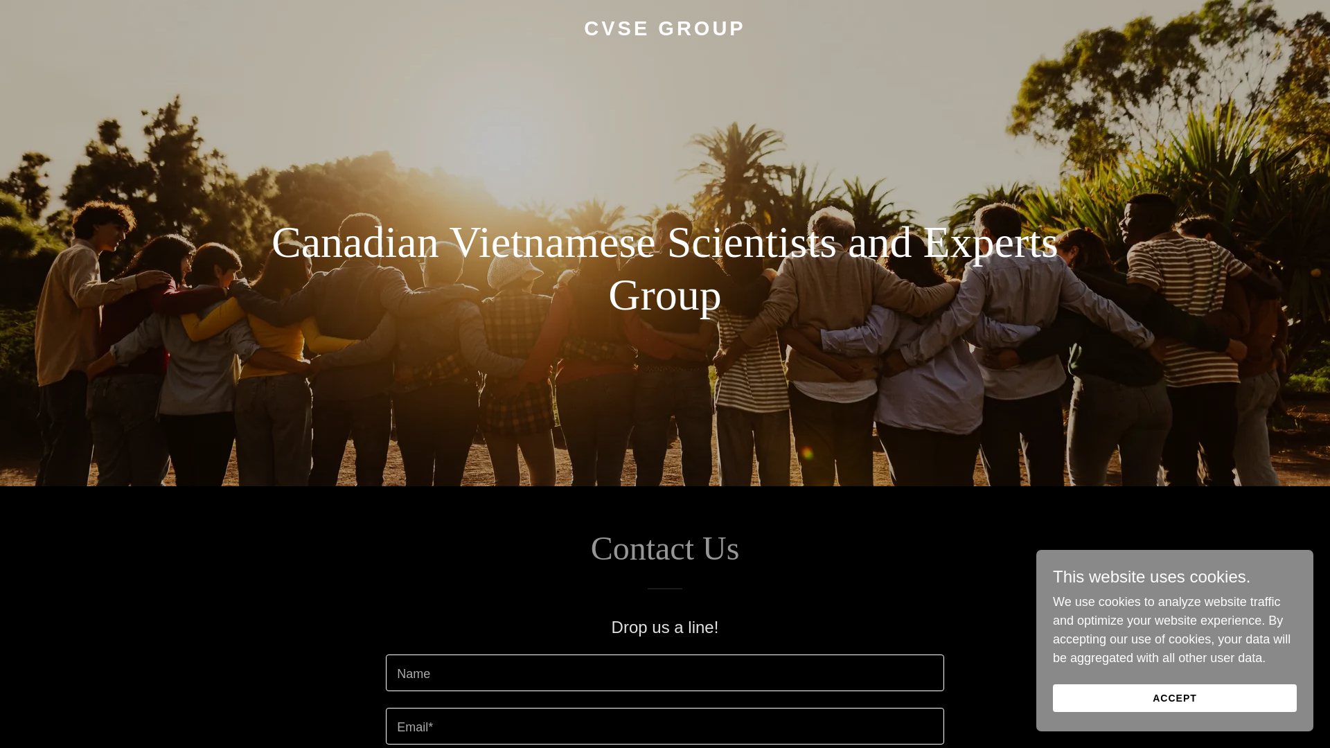 website screenshot of https://cvse-group.org/