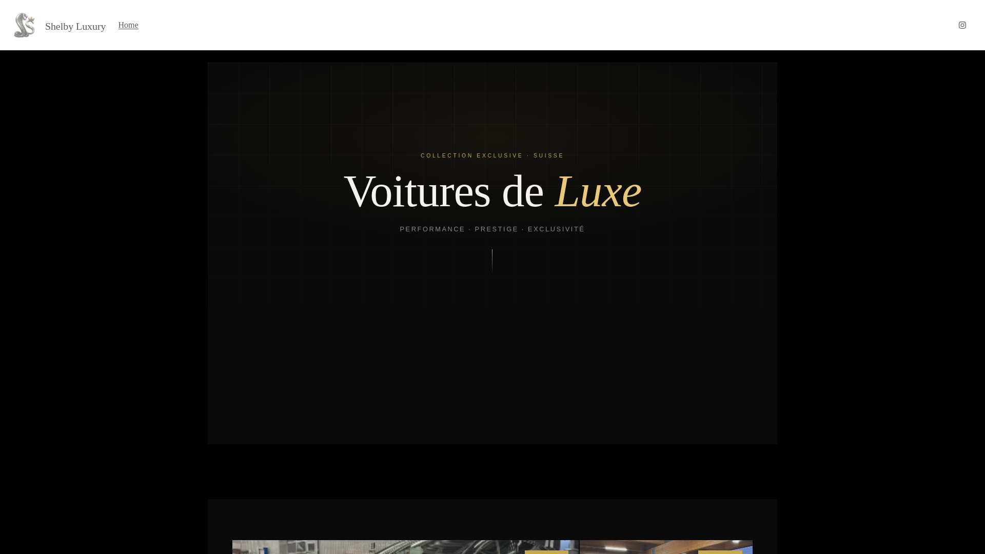 website screenshot of https://shelbymobility.com/