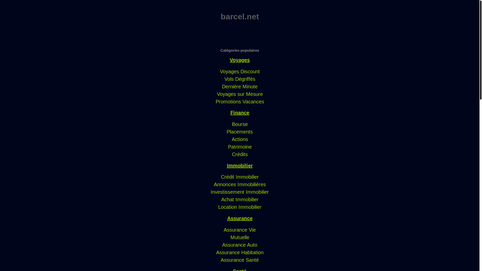website screenshot of https://barcel.net/