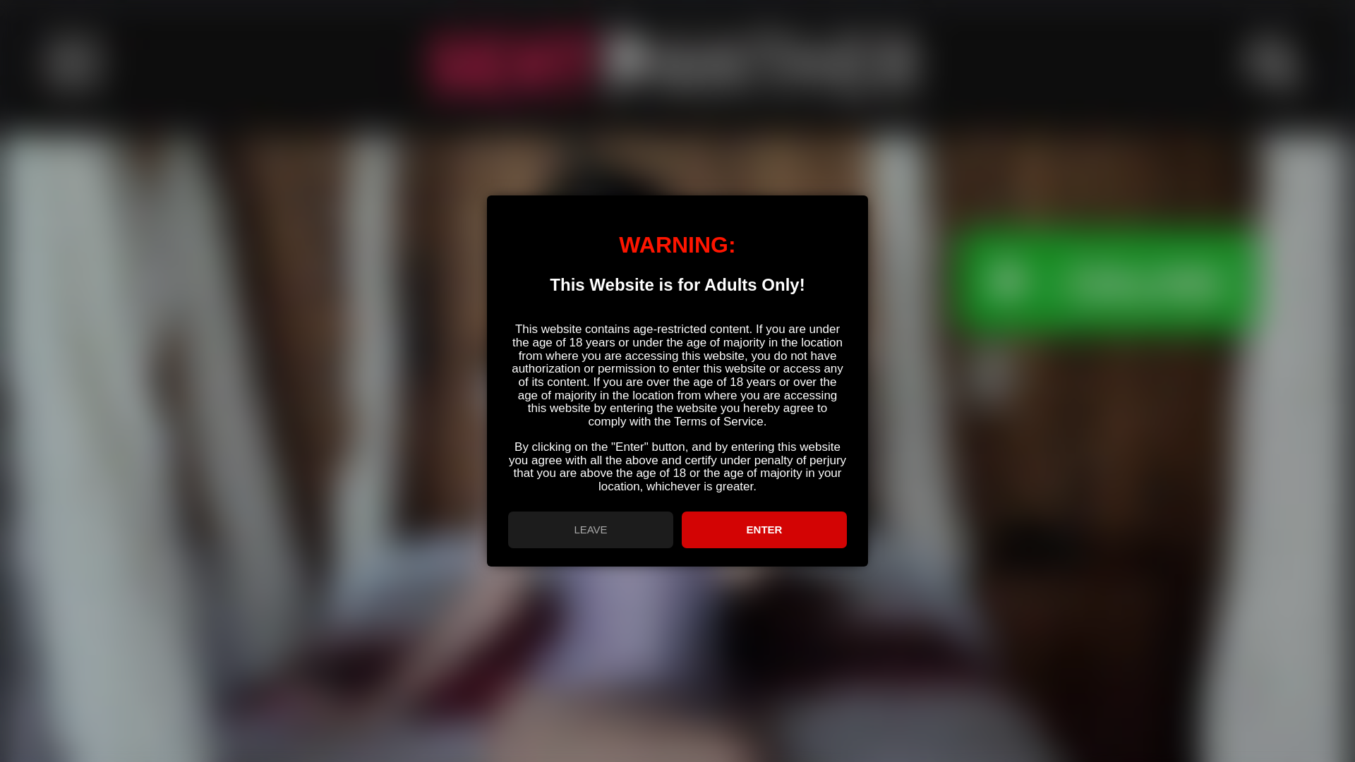 website screenshot of https://heathive.asia/