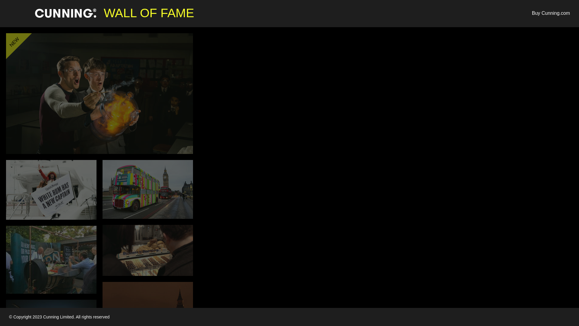 website screenshot of https://cunning.com/