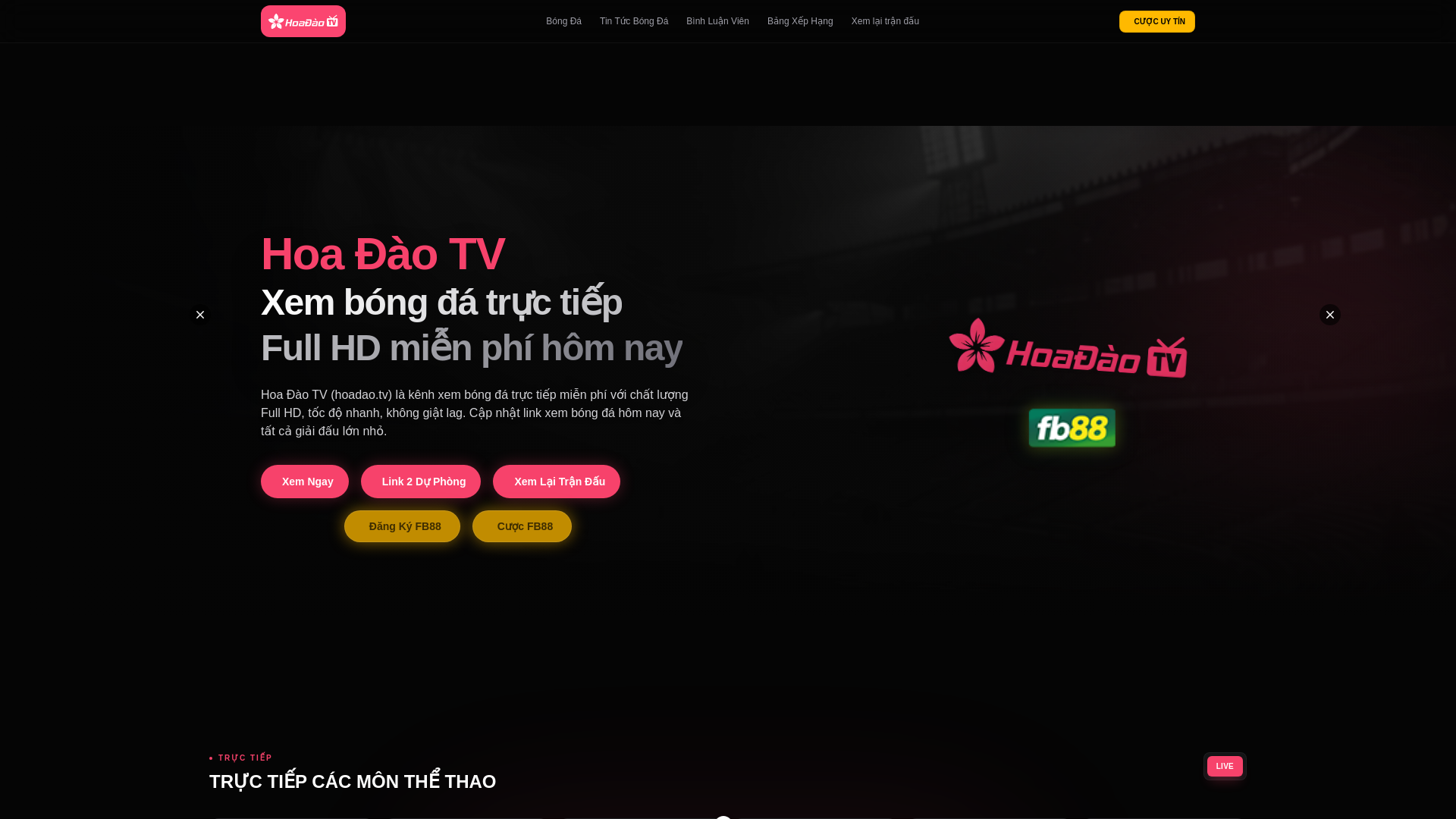 website screenshot of https://hoadao1.tv/