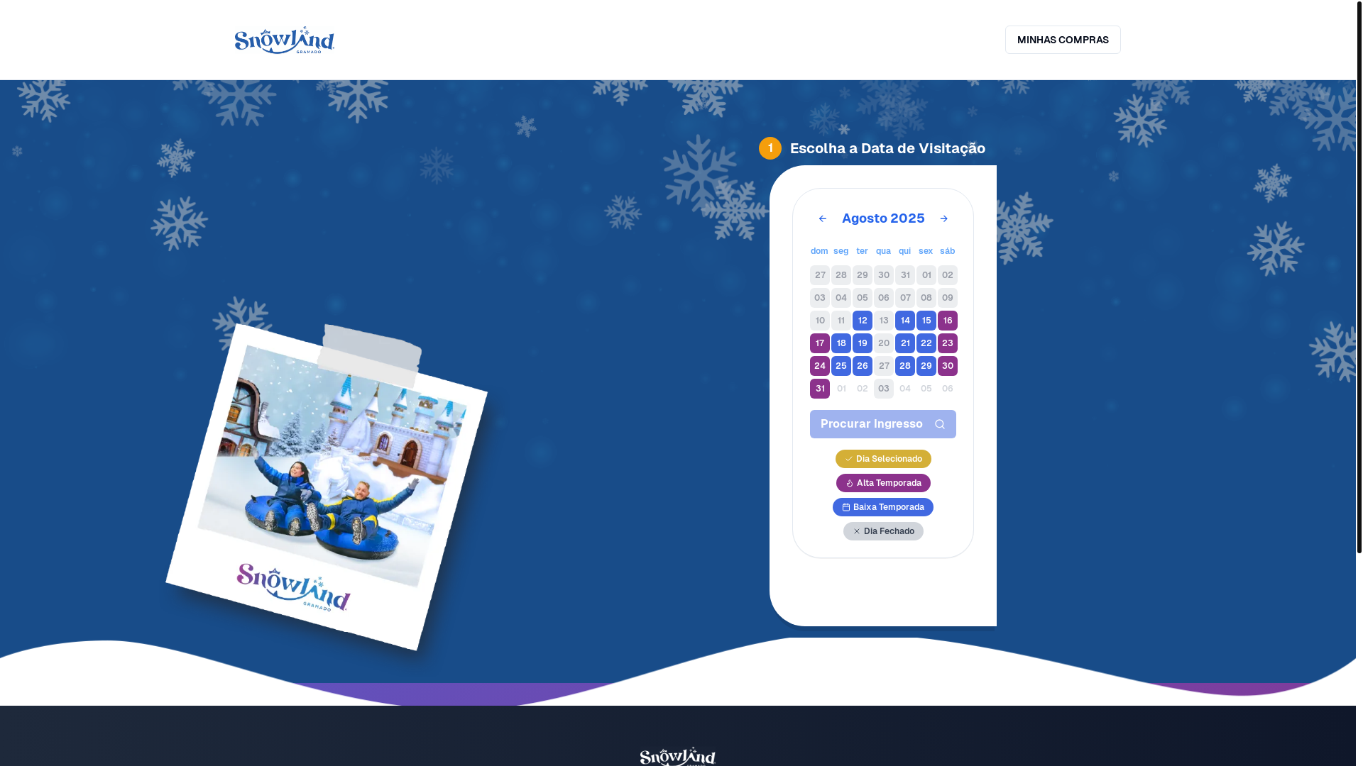 website screenshot of https://ingressos-parquesnowland.online/